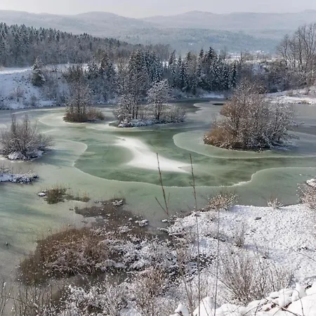 Chalet Homestead Bahor With Whirlpool - Happy Črnomelj