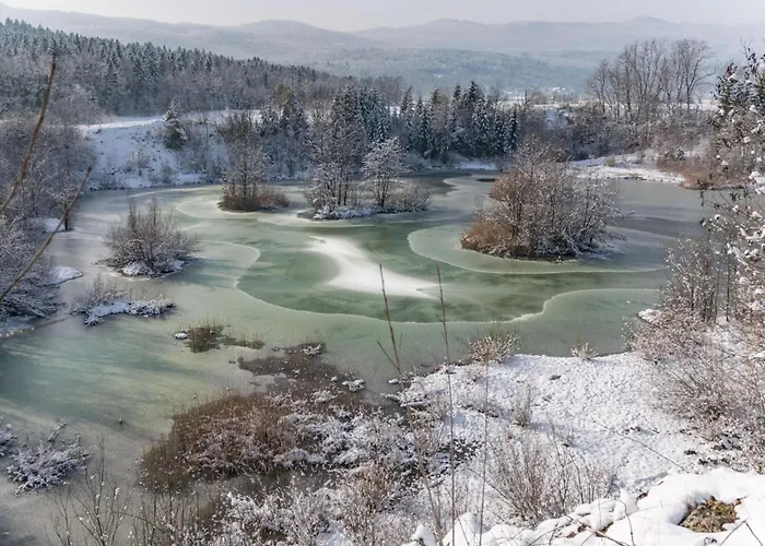 شاليه Homestead Bahor With Whirlpool - Happy Črnomelj